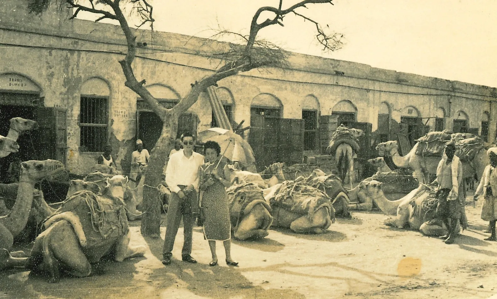 Photograph 95